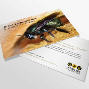 Green Carpenter Bee Gift Card